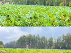 -翠湖公园