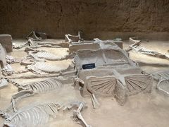 -洛阳周王城天子驾六博物馆