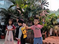 -甲乙果 美术书法(通州校区)