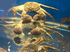 -赖厨潮汕砂锅粥