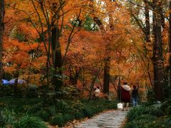 -共青国家森林公园-售票处