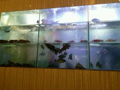 -新兴·金羊座·粤菜点心(乐峰店)
