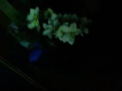 -观唐足道SPA养生会馆(南湖店)