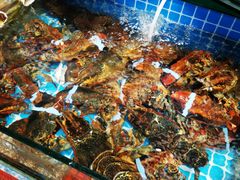 水产区-望海潮海鲜店 特色家常菜(在海一方店)