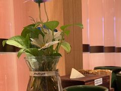 -云海肴·汽锅鸡·云南代表菜(浦江欢乐颂店)