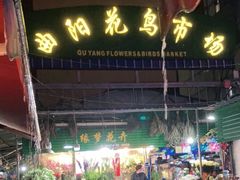 -曲阳花鸟市场(曲阳路店)
