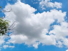 -昆山城市生态森林公园