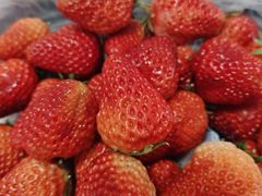 -叶氏兄弟果业(大连鲁迅店)