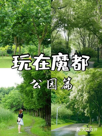 不收费的。如果停满了可以到公园对面小区星丰苑停一下