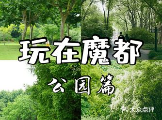 不收费的。如果停满了可以到公园对面小区星丰苑停一下
