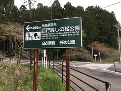 -松岛