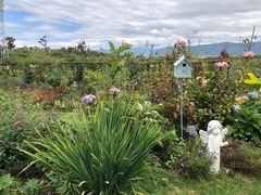-猫米花园