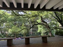 -香港大学