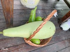 -樂桃源奉贤黄桃种植采摘基地