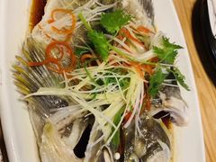 -南山酒肆(南山董事绘店)