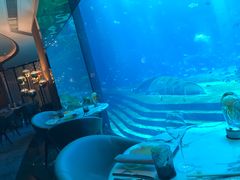 -亚特兰蒂斯•OSSIANO奥西亚诺海底餐厅