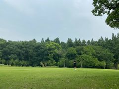 -上海滨江森林公园