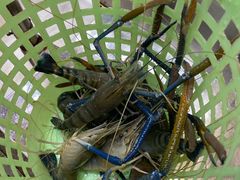 -厨房好味(滨江店)