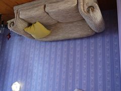 -金山农民画村-枫泾波兰倒置屋