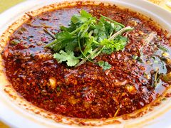 -胖大姐黄辣丁鱼庄(新津店)