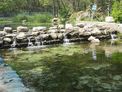 -白水寺森林公园