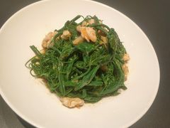 -三强鸽子(中原路店)