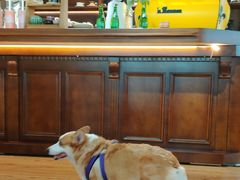-沏点Trattoria意大利餐厅(新街口店)