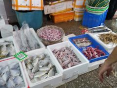 水产区-先锋海鲜市场