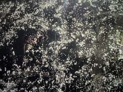 -上海当代艺术博物馆