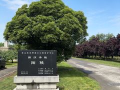 -汉景帝阳陵博物院