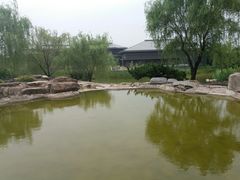 -鹦鹉寺公园