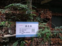 -呀路古热带植物园