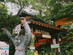 -宫城藏王狐狸村