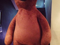 -济州岛泰迪熊博物馆