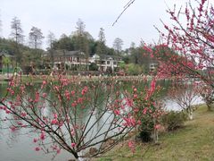 -常德桃花源景区