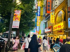 -秋叶原电器街