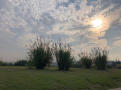 -金海湾滨江公园