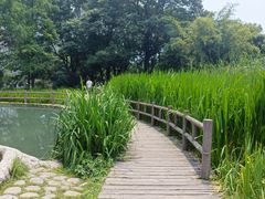 -成都市活水公园