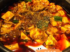 -陈麻婆豆腐总店