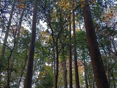 -西湖风景区-江洋畈生态公园