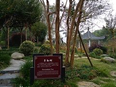 -武汉紫薇都市田园