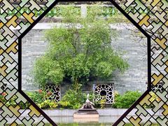 -广州神农草堂中医药博物馆