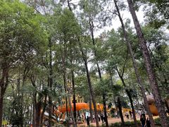 -东湖落雁景区