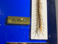 -上海昆虫博物馆