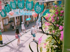 -猫咪博物馆(顶澳仔猫街店)