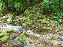 -本溪汤沟绿石谷森林公园