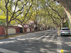 -一尺花园(安和花园店)