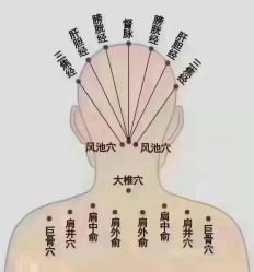 -名发世家烫染
