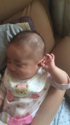 -上海小小宝婴儿理胎发胎毛笔