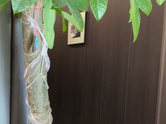 -鹿栖.精油SPA(金山世纪城店)